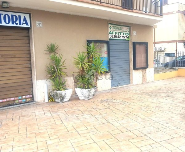 appartamento in affitto a Roma in zona Tor Vergata/Torrenova