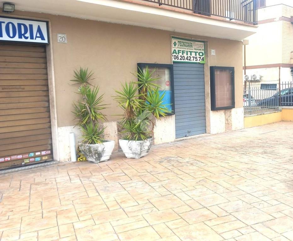 appartamento in affitto a Roma in zona Tor Vergata/Torrenova