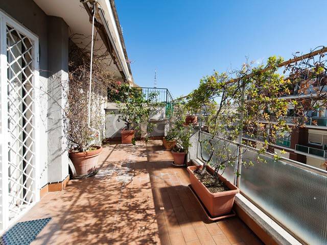 appartamento in affitto a Roma in zona Gianicolense