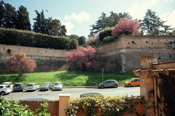 appartamento in affitto a Roma in zona Rione Prati