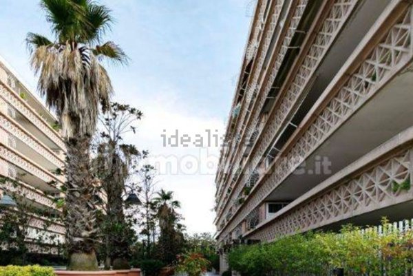 appartamento in affitto a Roma in zona Flaminio