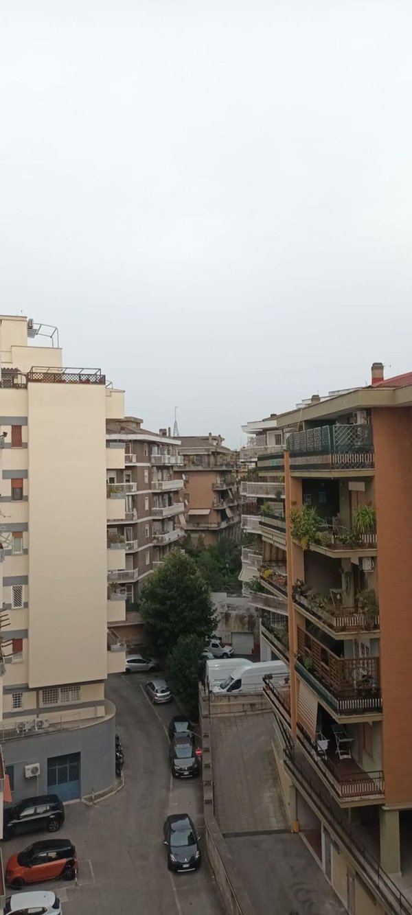appartamento in affitto a Roma in zona Monte Sacro/Talenti