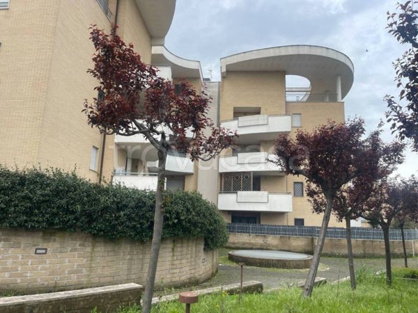 appartamento in affitto a Roma in zona Acilia