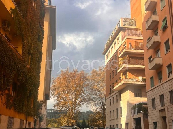 appartamento in affitto a Roma in zona Flaminio