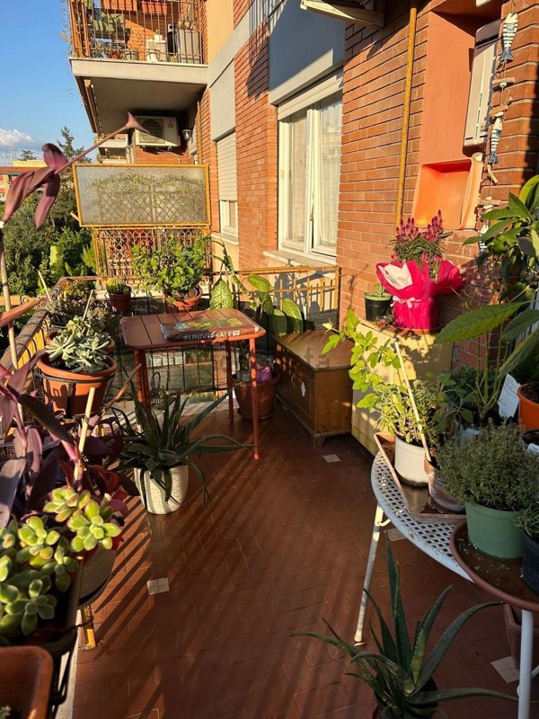 appartamento in affitto a Roma in zona Val Melaina