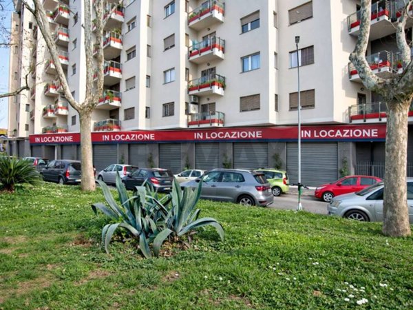 negozio in affitto a Roma in zona Appio Latino
