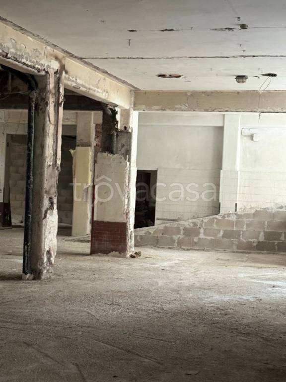 negozio in affitto a Roma in zona Monte Sacro/Talenti