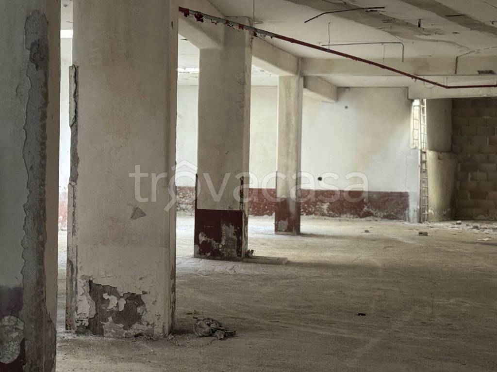 negozio in affitto a Roma in zona Monte Sacro/Talenti