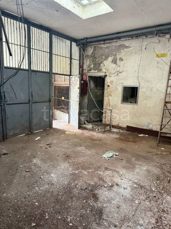 negozio in affitto a Roma in zona Monte Sacro/Talenti