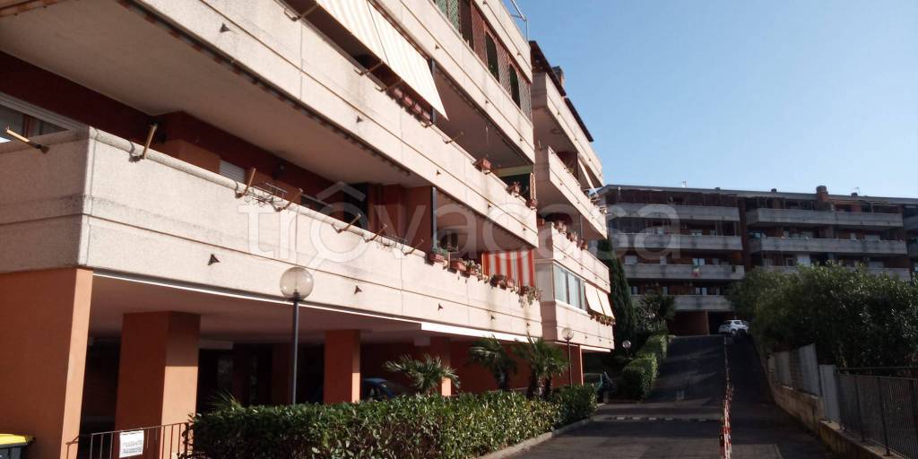 appartamento in affitto a Roma