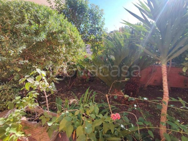 appartamento in affitto a Roma in zona Gianicolense