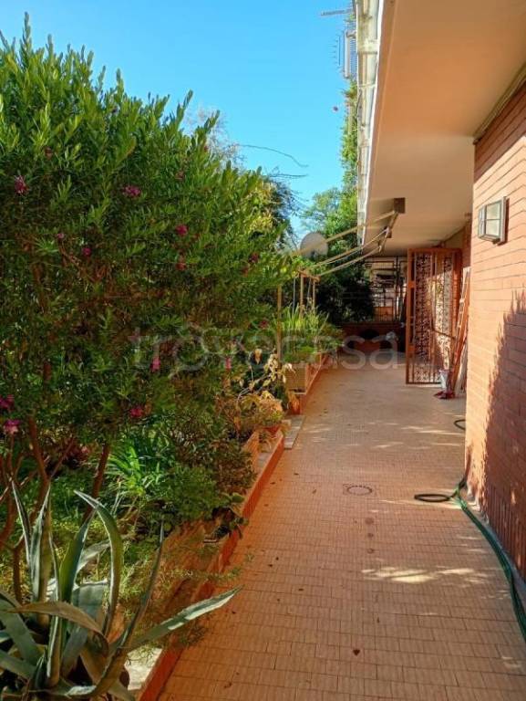 appartamento in affitto a Roma in zona Gianicolense