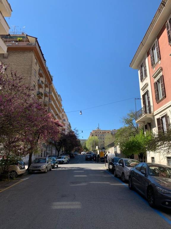 appartamento in affitto a Roma in zona Nomentano