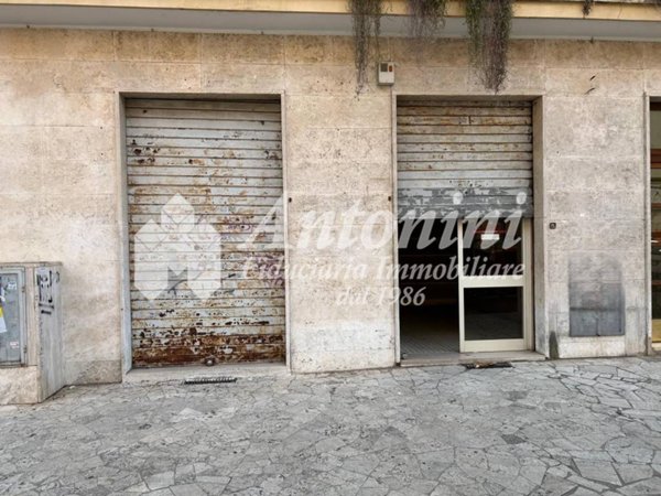 appartamento in affitto a Roma in zona Trieste