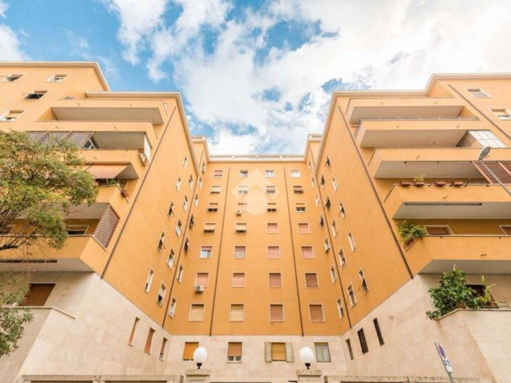 appartamento in affitto a Roma in zona Trieste