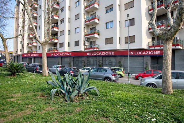 locale commerciale in affitto a Roma in zona Appio Latino