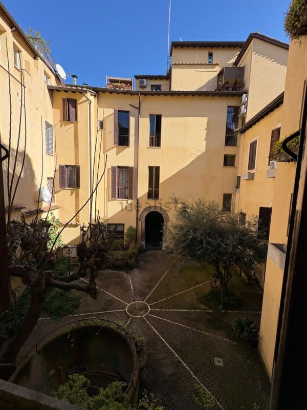 appartamento in affitto a Roma in zona Campo Marzio