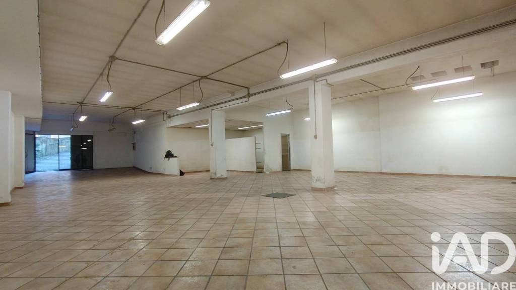 negozio in affitto a Roma in zona Monte Sacro/Talenti