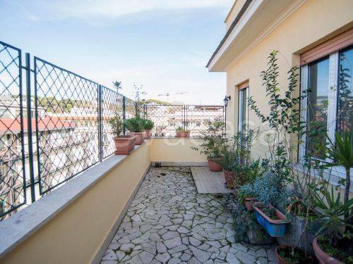 appartamento in affitto a Roma in zona Flaminio