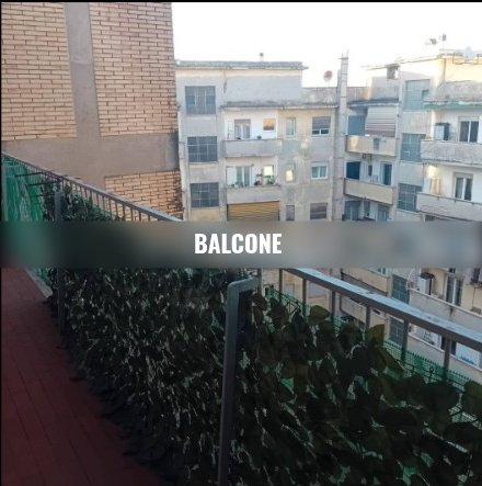 appartamento in affitto a Roma in zona Collatino