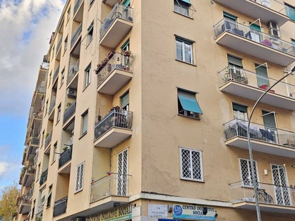 appartamento in affitto a Roma in zona Monte Sacro/Talenti