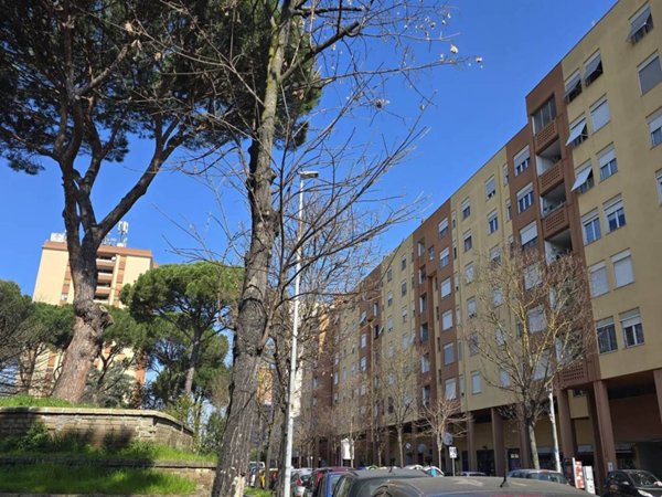 appartamento in affitto a Roma in zona Castel Giubileo