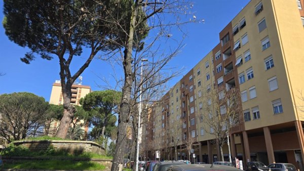 appartamento in affitto a Roma in zona Castel Giubileo