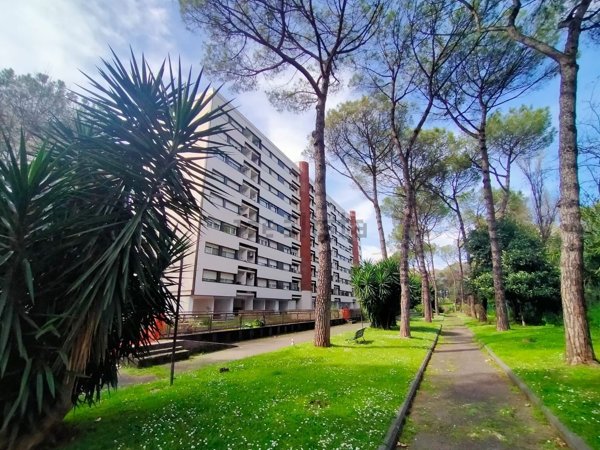 appartamento in affitto a Roma in zona Giuliano Dalmata