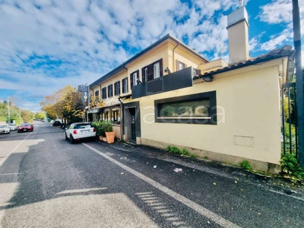 negozio in affitto a Roma in zona Flaminio