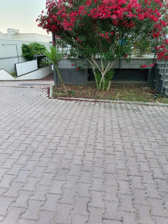 appartamento in affitto a Roma in zona Tor Cervara