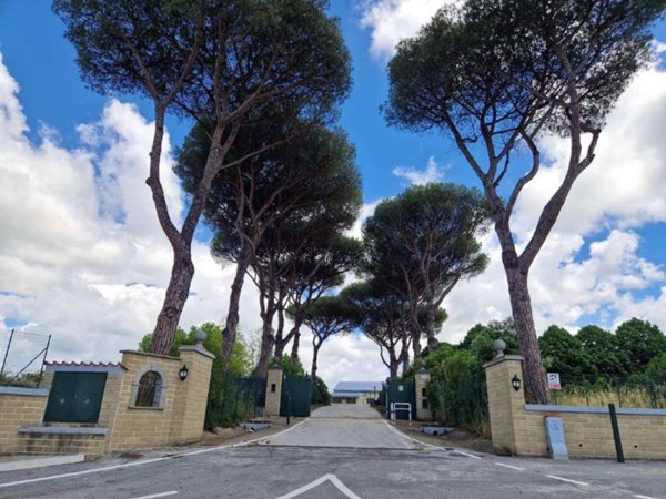 locale commerciale in affitto a Roma in zona Trigoria