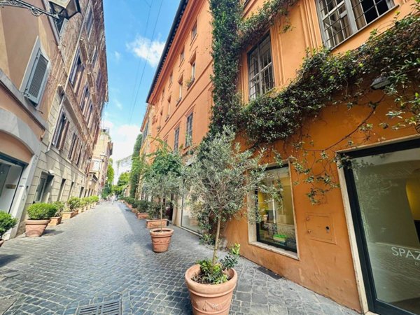 appartamento in affitto a Roma in zona Campo Marzio