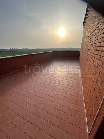 appartamento in affitto a Roma in zona Borghesiana