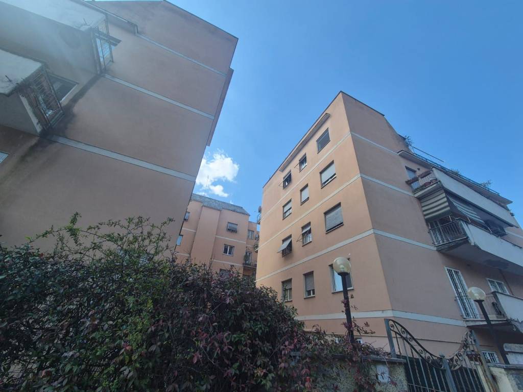 appartamento in affitto a Roma in zona Monte Sacro/Talenti