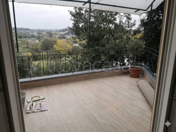 appartamento in affitto a Roma in zona Flaminio