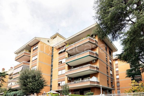 appartamento in affitto a Roma in zona Monte Sacro/Talenti