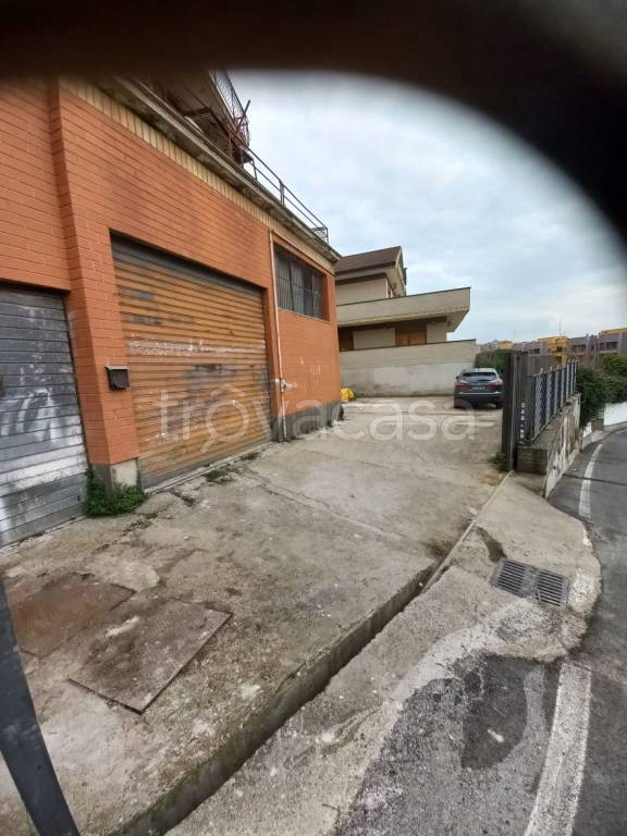 negozio in affitto a Roma in zona Fidene
