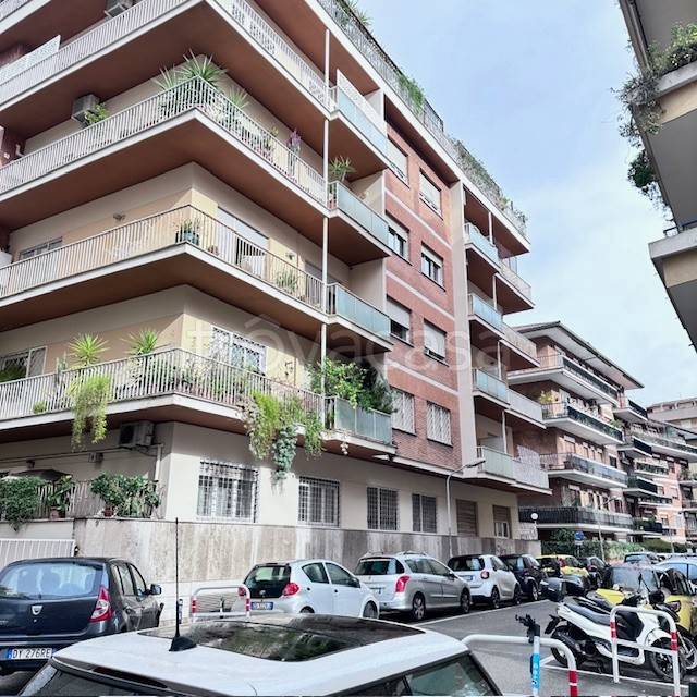 appartamento in affitto a Roma in zona Trieste