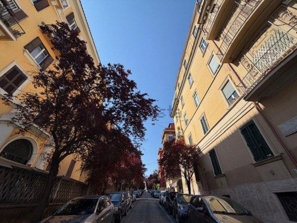 appartamento in affitto a Roma in zona Trieste