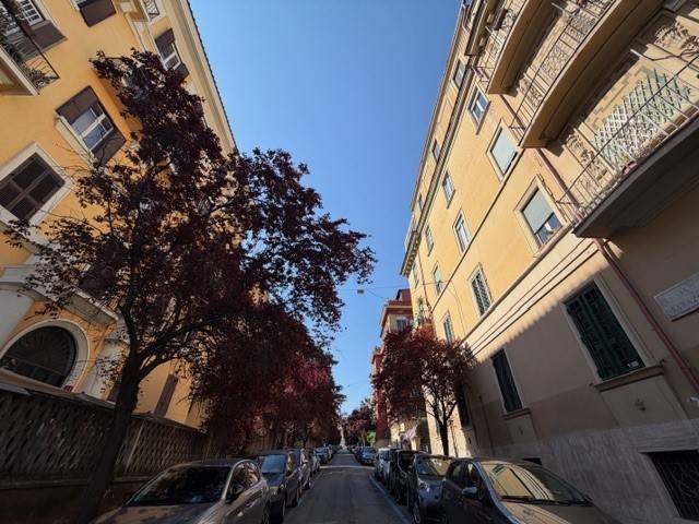 appartamento in affitto a Roma in zona Trieste