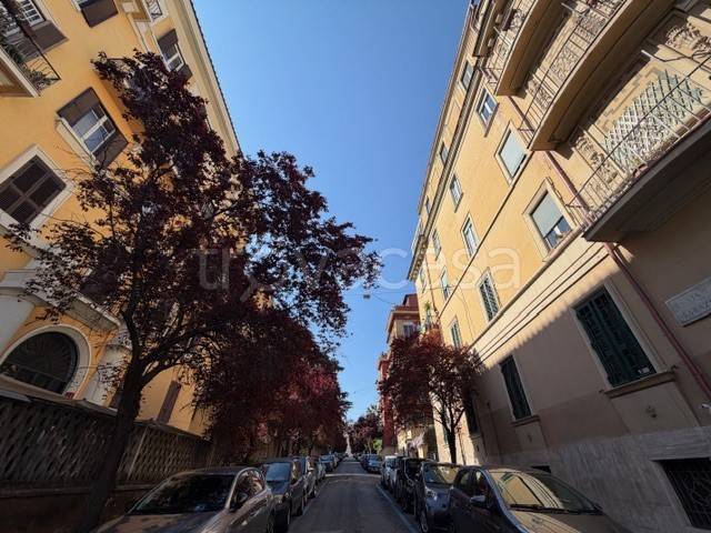 appartamento in affitto a Roma in zona Trieste