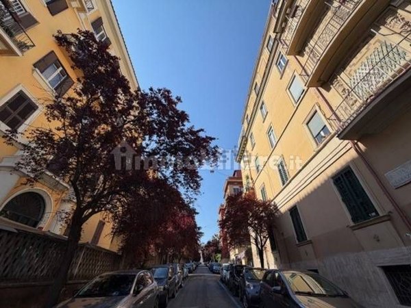 appartamento in affitto a Roma in zona Trieste