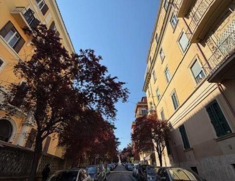 appartamento in affitto a Roma in zona Trieste