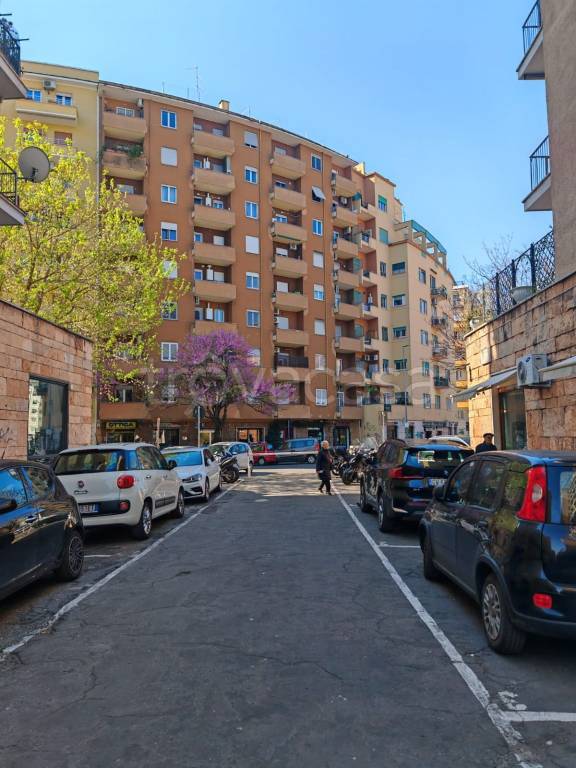 appartamento in affitto a Roma in zona Trieste