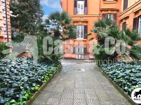appartamento in affitto a Roma in zona Parioli
