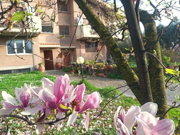 casa indipendente in affitto a Roma in zona Casal Morena
