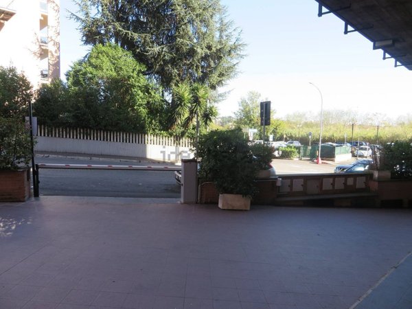 appartamento in affitto a Roma in zona Trionfale