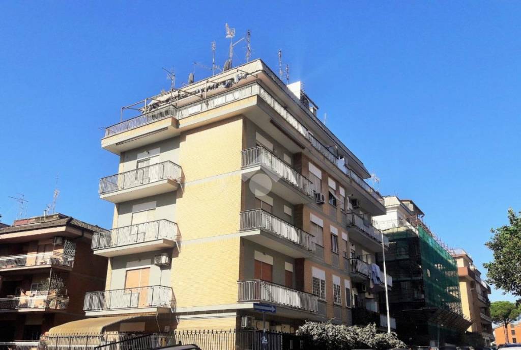 appartamento in affitto a Roma in zona Primavalle