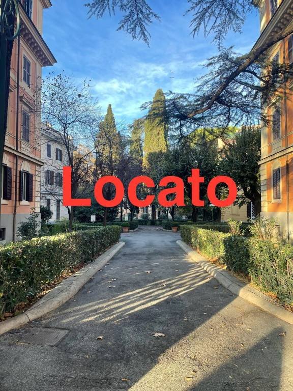 appartamento in affitto a Roma in zona Flaminio