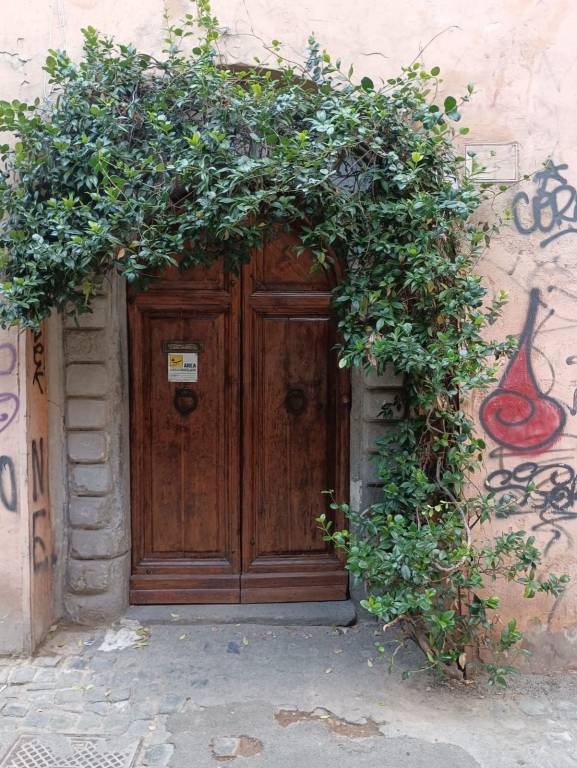 appartamento in affitto a Roma in zona Trastevere